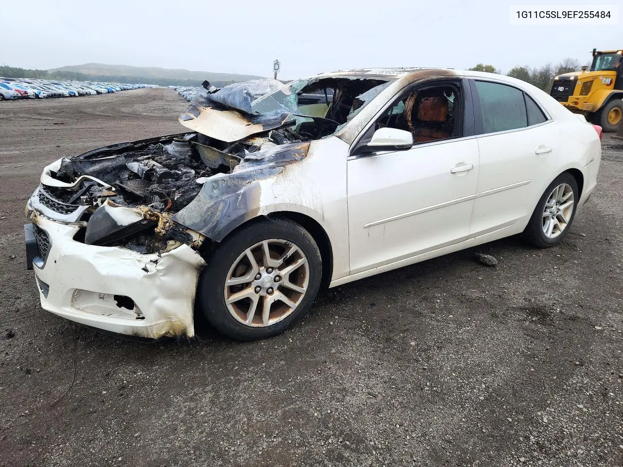 CHEVROLET MALIBU 2014, VIN 1G11C5SL9EF255484