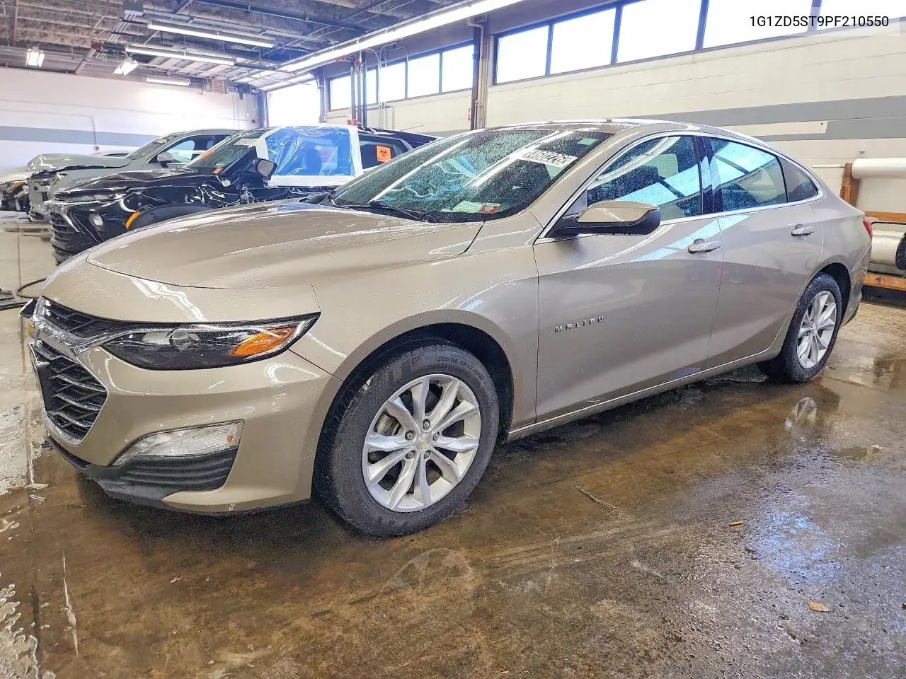 CHEVROLET MALIBU 2023, VIN 1G1ZD5ST9PF210550