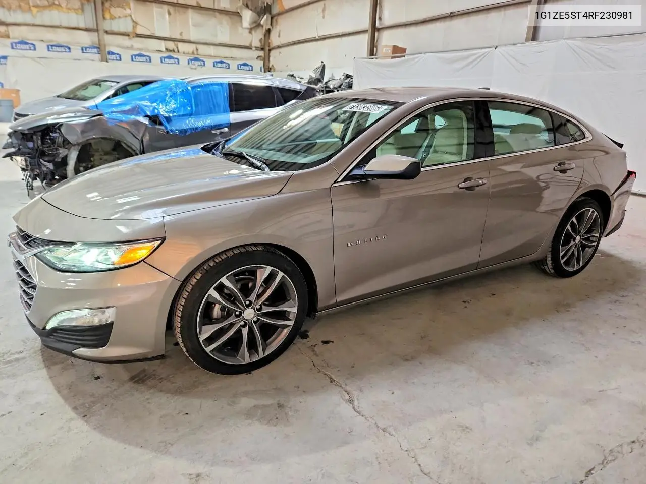 CHEVROLET MALIBU 2024, VIN 1G1ZE5ST4RF230981