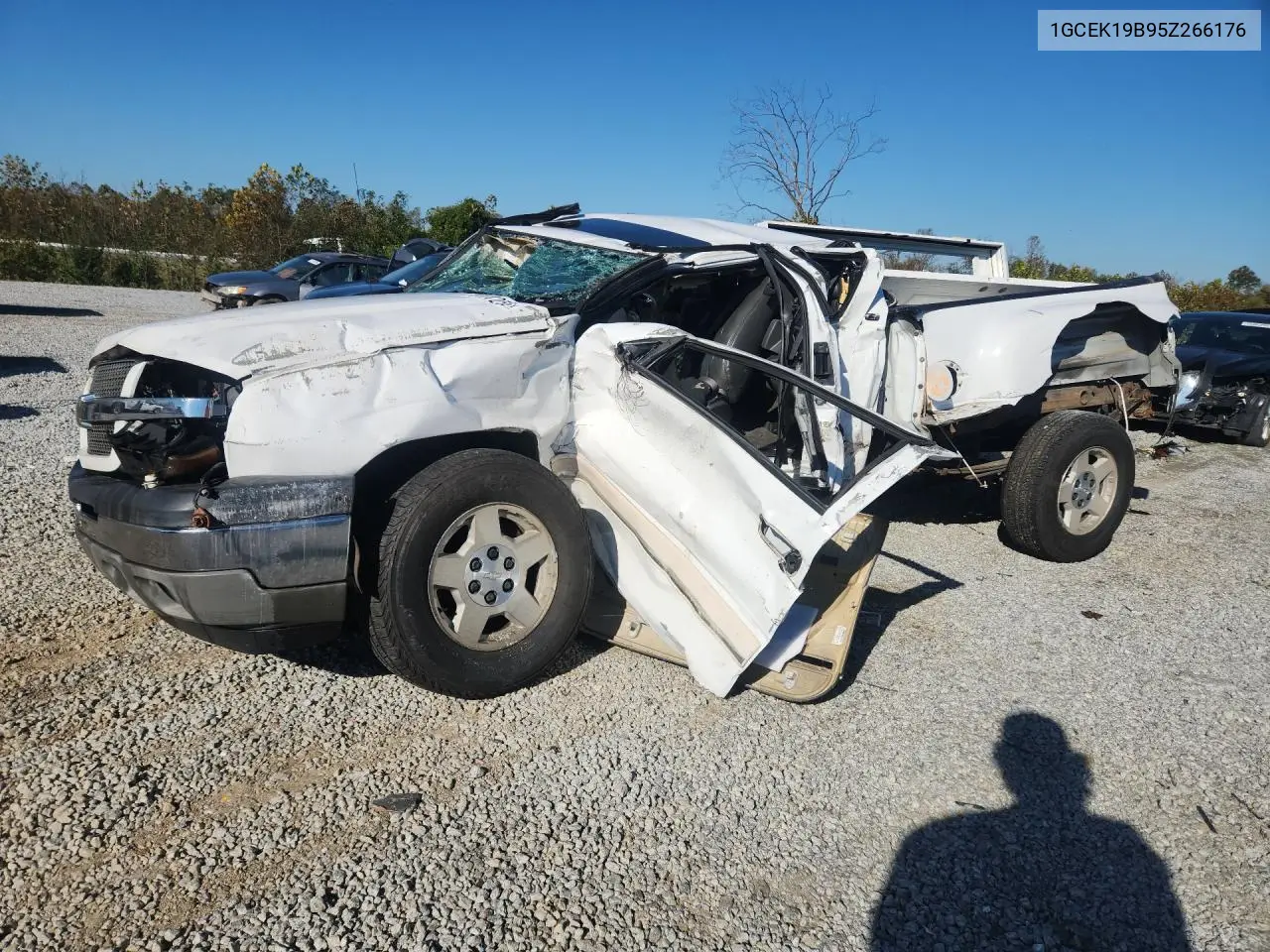 CHEVROLET SILVERADO 2005, VIN 1GCEK19B95Z266176