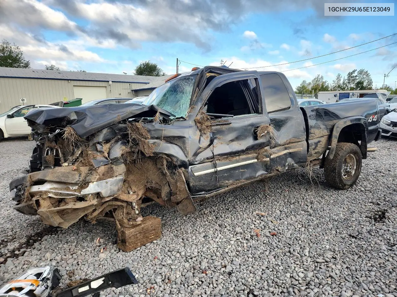 CHEVROLET SILVERADO 2005, VIN 1GCHK29U65E123049