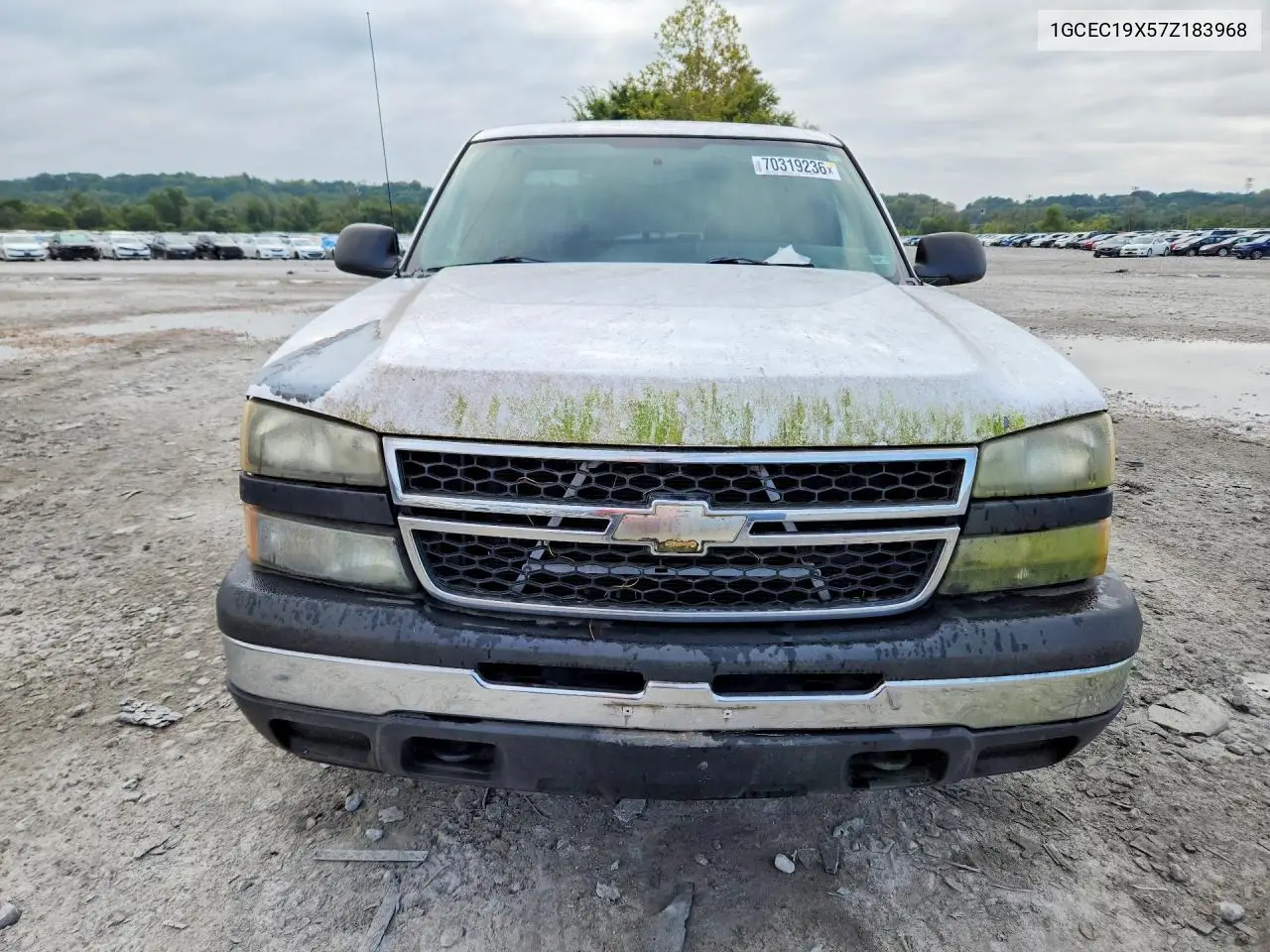 2007 CHEVROLET SILVERADO VIN 1GCEC19X57Z183968 — фото 5