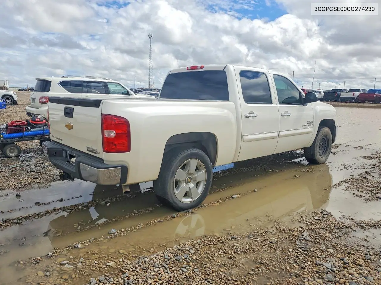 2012 CHEVROLET SILVERADO VIN 3GCPCSE00CG274230 — фото 3