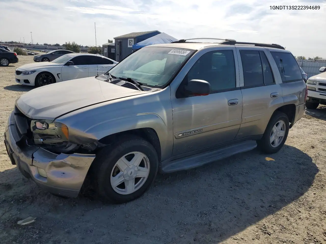 CHEVROLET TRAILBLAZER 2002, VIN 1GNDT13S222394689