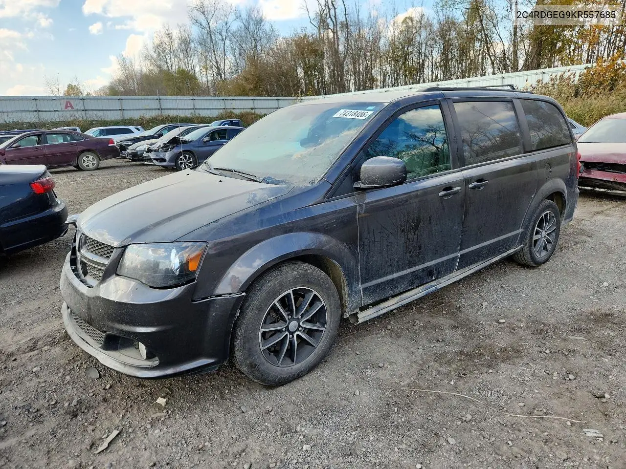 DODGE CARAVAN 2019, VIN 2C4RDGEG9KR557685