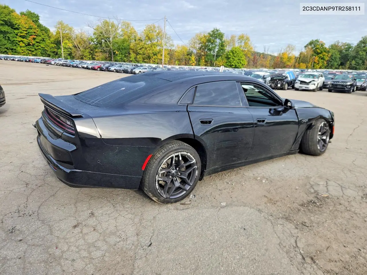 2026 DODGE CHARGER VIN 2C3CDANP9TR258111 — фото 3