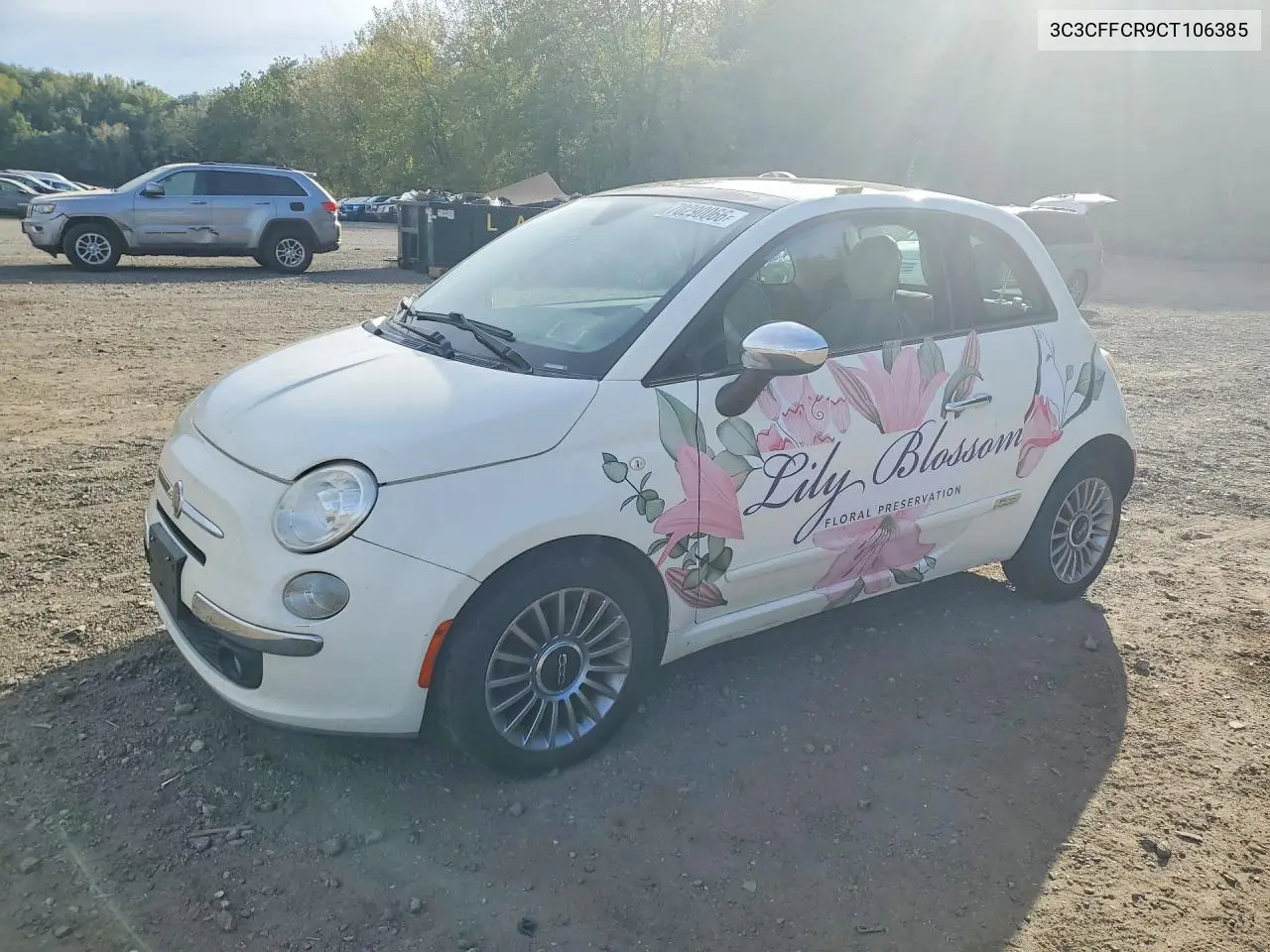 FIAT 500 2012, VIN 3C3CFFCR9CT106385