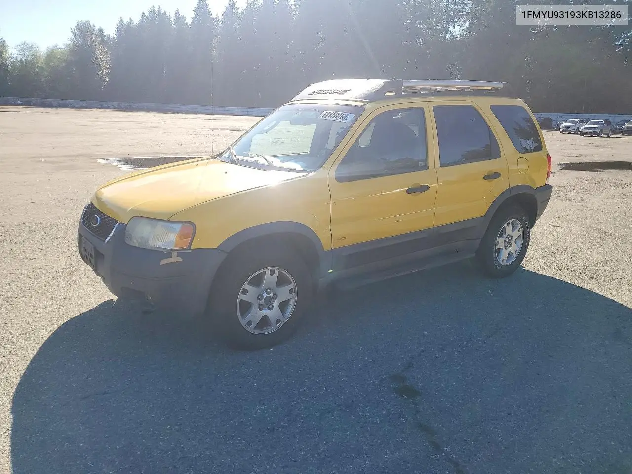 FORD ESCAPE 2003, VIN 1FMYU93193KB13286