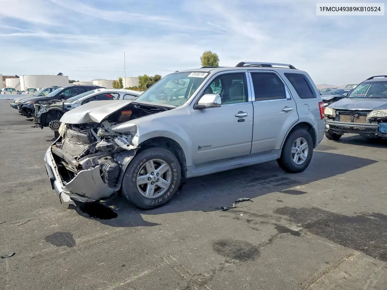 FORD ESCAPE 2009, VIN 1FMCU49389KB10524