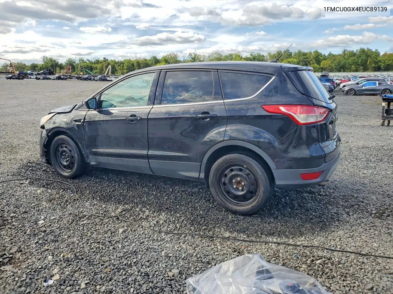 FORD ESCAPE 2014, VIN 1FMCU0GX4EUC89139