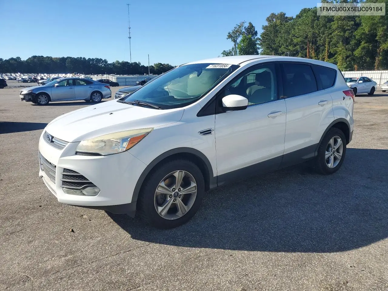 FORD ESCAPE 2014, VIN 1FMCU0GX5EUC09184