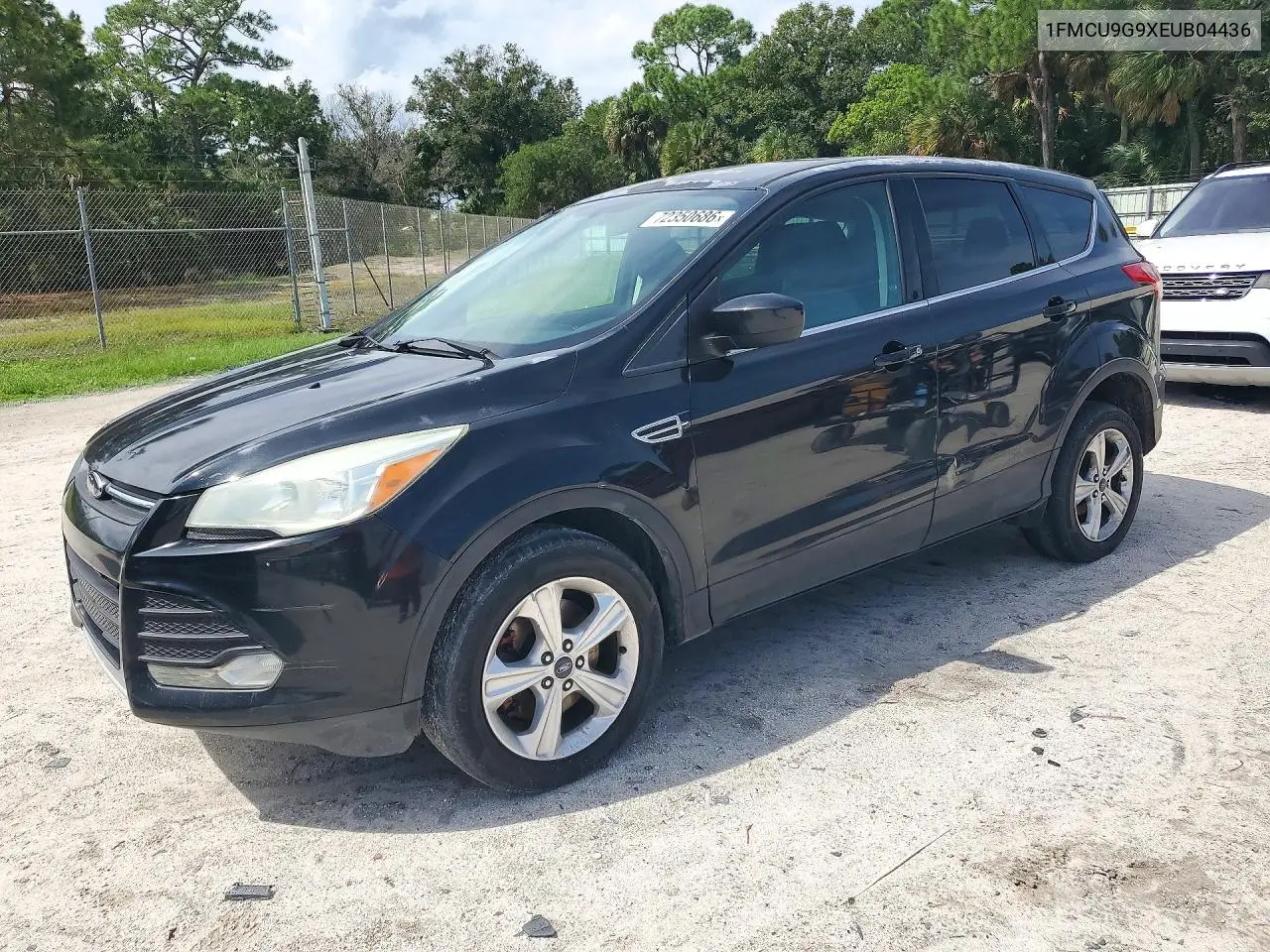 FORD ESCAPE 2014, VIN 1FMCU9G9XEUB04436