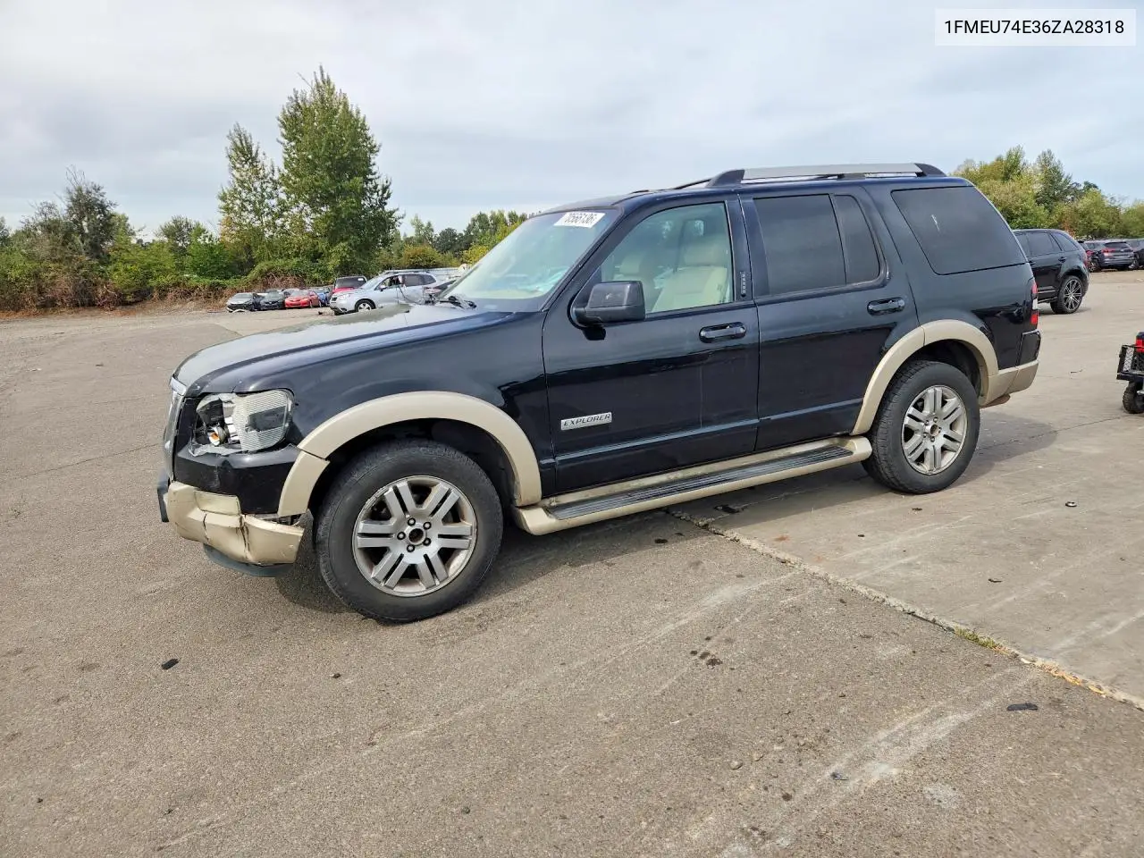 FORD EXPLORER 2006, VIN 1FMEU74E36ZA28318