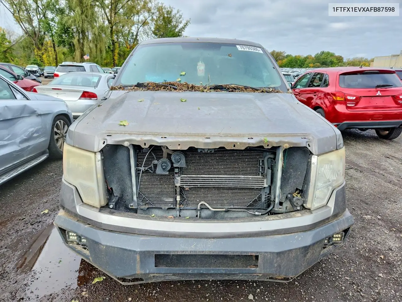 2010 FORD F-150 VIN 1FTFX1EVXAFB87598 — фото 5