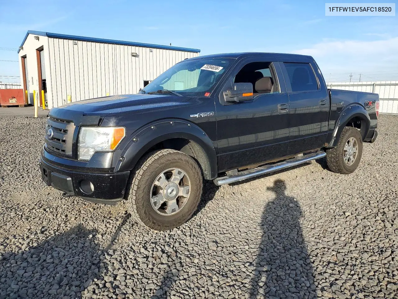 FORD F-150 2010, VIN 1FTFW1EV5AFC18520