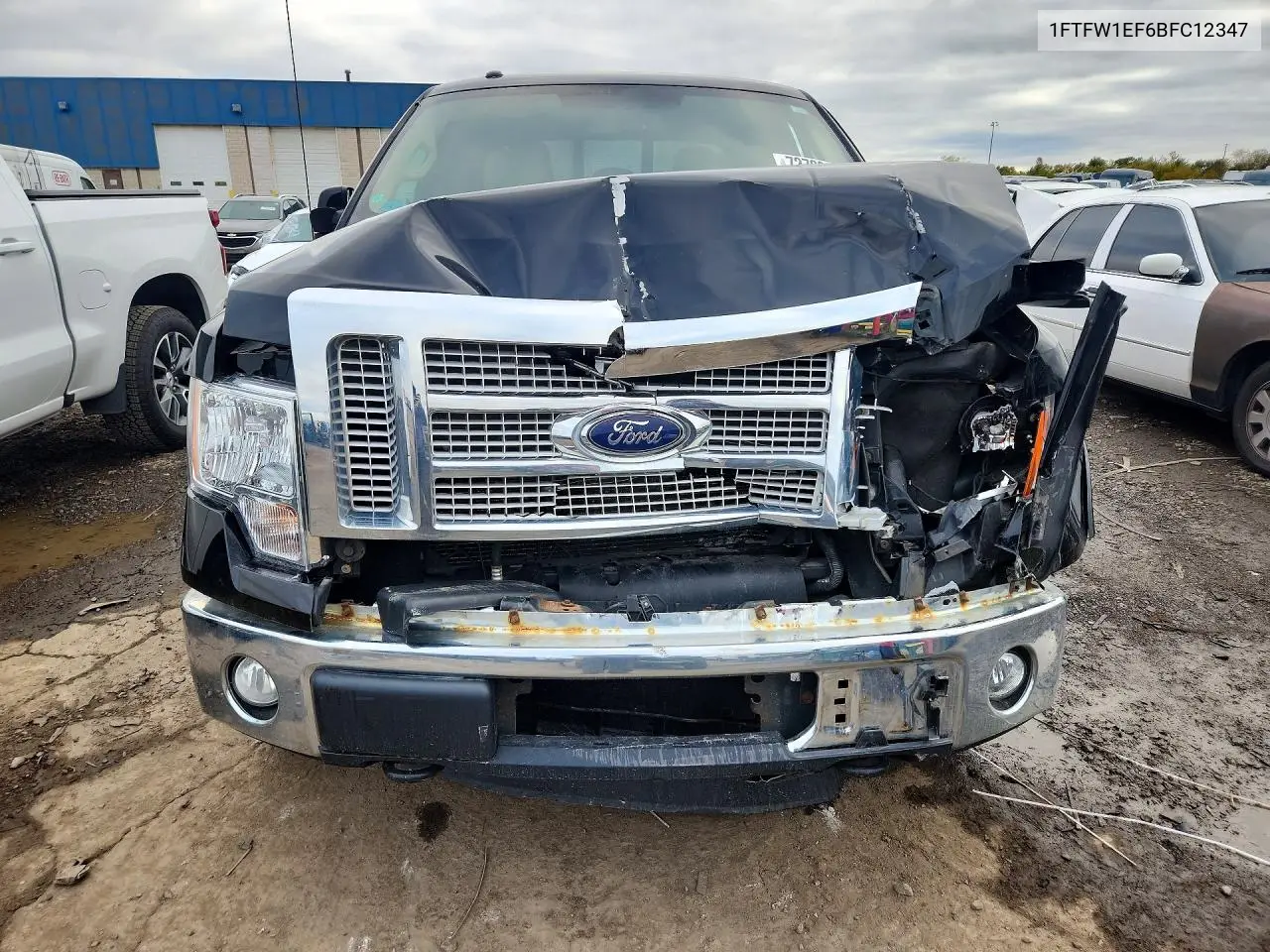 2011 FORD F-150 VIN 1FTFW1EF6BFC12347 — фото 5