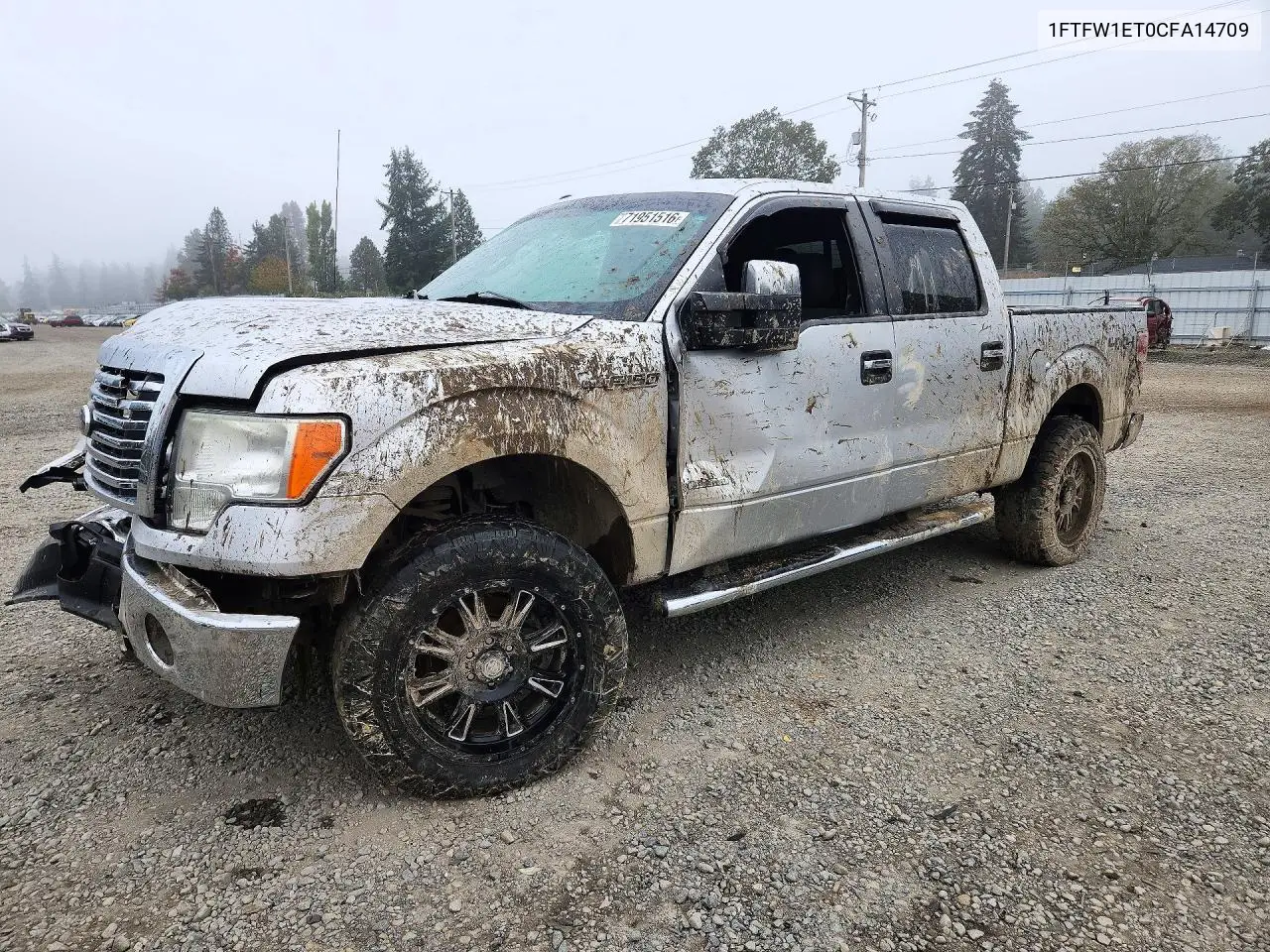 FORD F-150 2012, VIN 1FTFW1ET0CFA14709