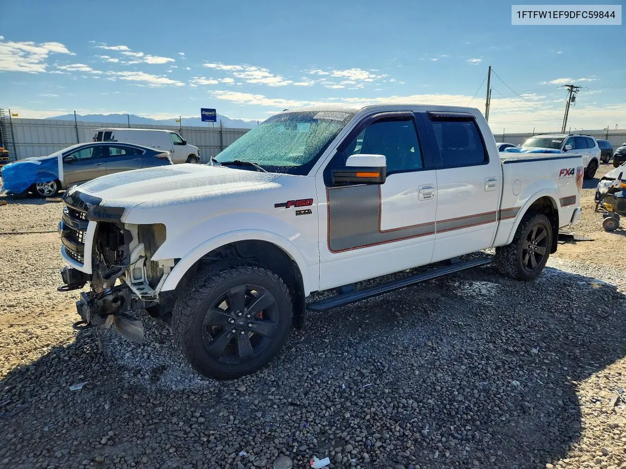 FORD F-150 2013, VIN 1FTFW1EF9DFC59844