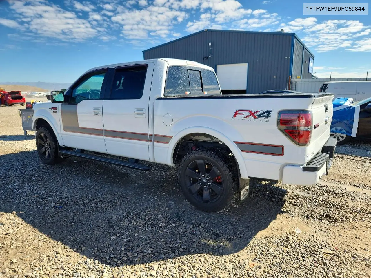 2013 FORD F-150 VIN 1FTFW1EF9DFC59844 — фото 2