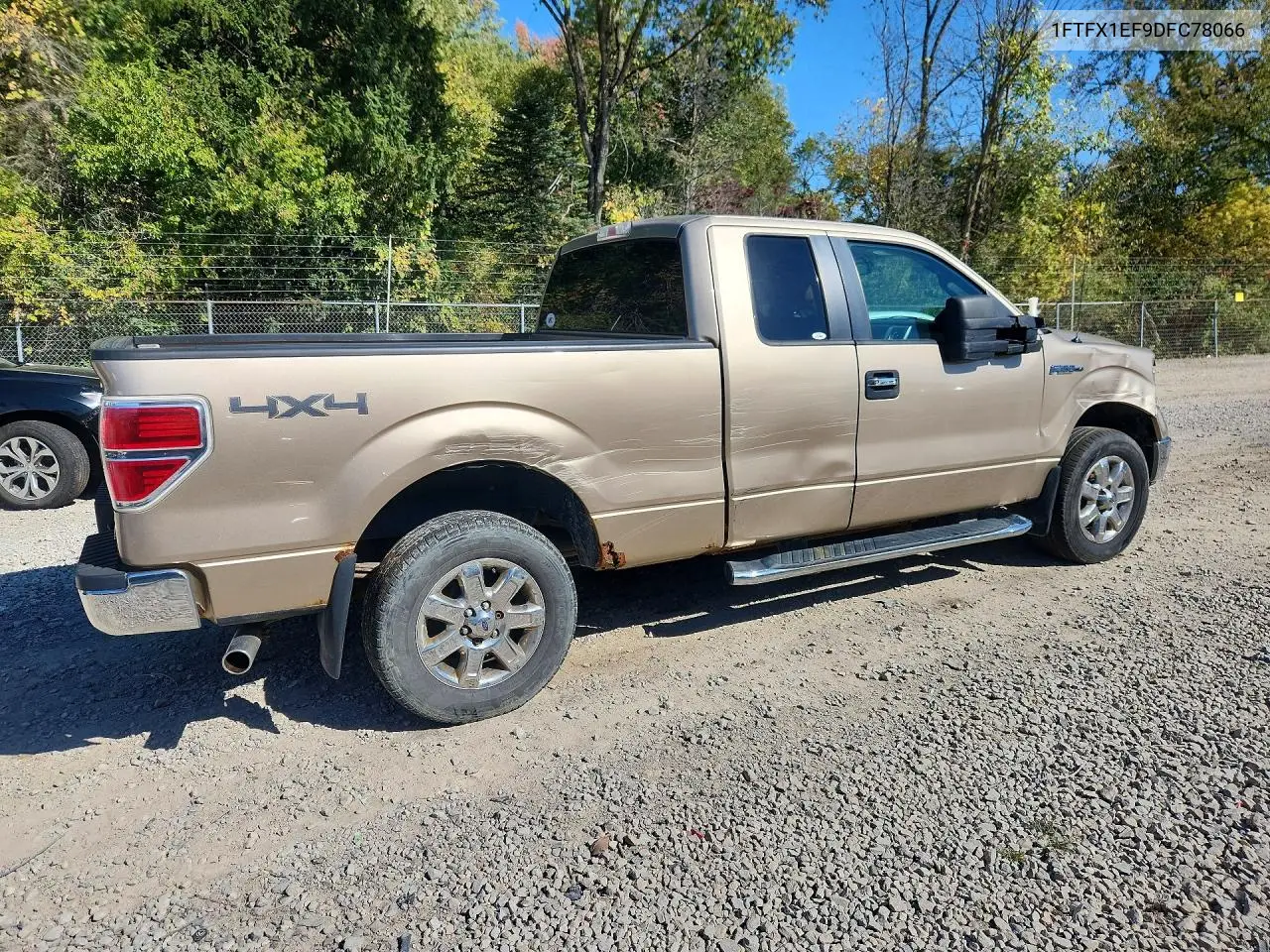 2013 FORD F-150 VIN 1FTFX1EF9DFC78066 — фото 3