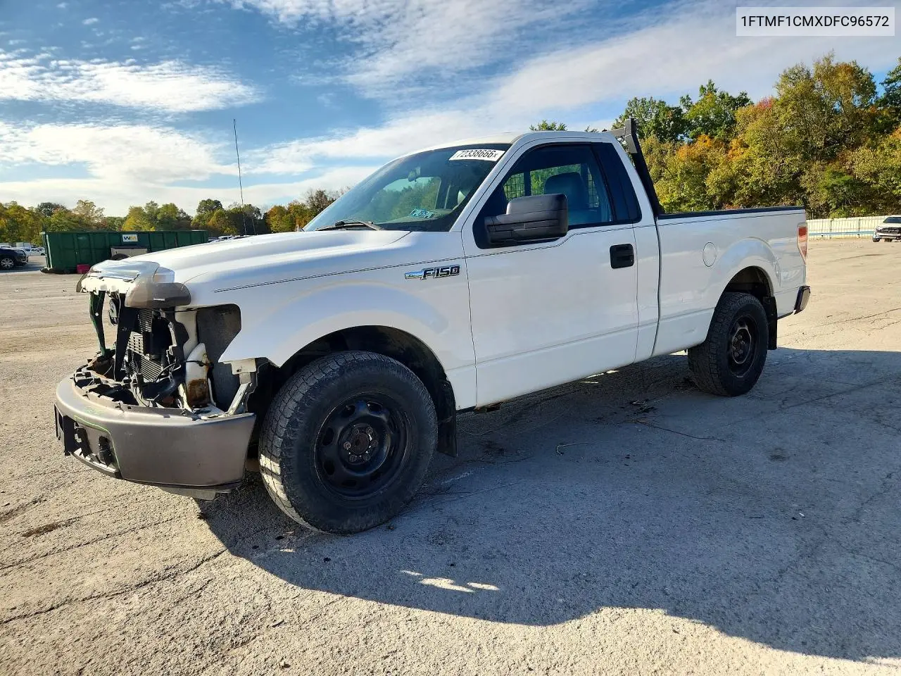 FORD F-150 2013, VIN 1FTMF1CMXDFC96572