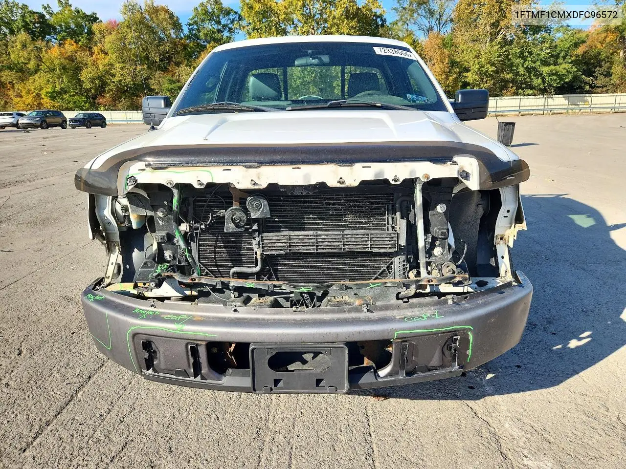 2013 FORD F-150 VIN 1FTMF1CMXDFC96572 — фото 5