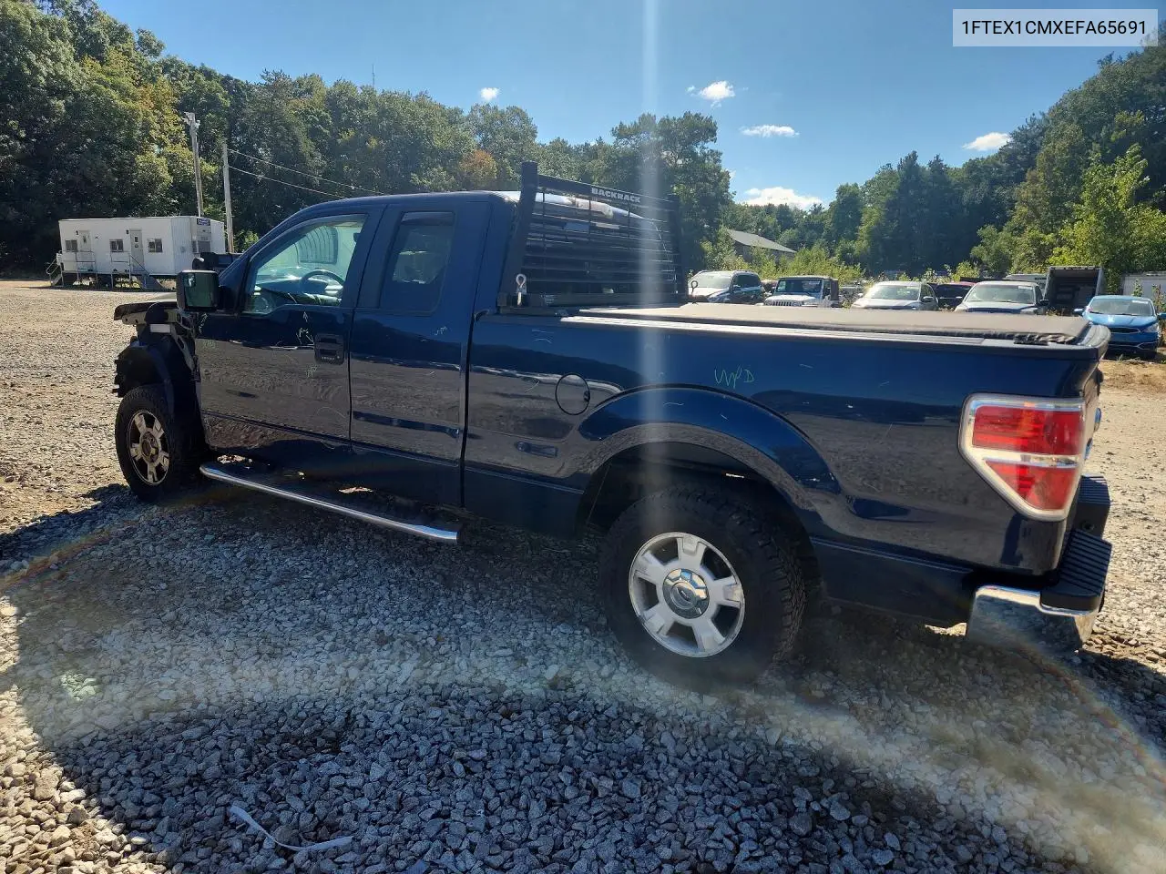2014 FORD F-150 VIN 1FTEX1CMXEFA65691 — фото 2