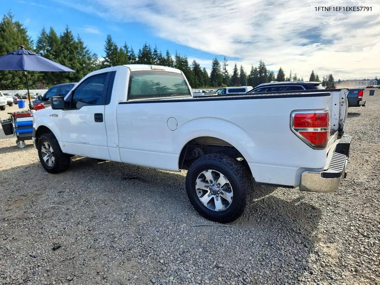 2014 FORD F-150 VIN 1FTNF1EF1EKE57791 — фото 2