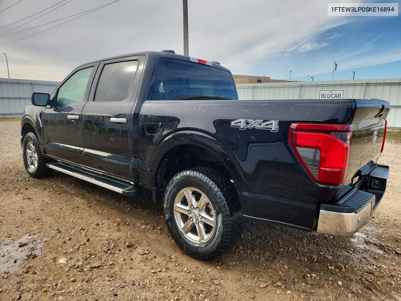 2025 FORD F-150 VIN 1FTEW3LP0SKE16894 — фото 2