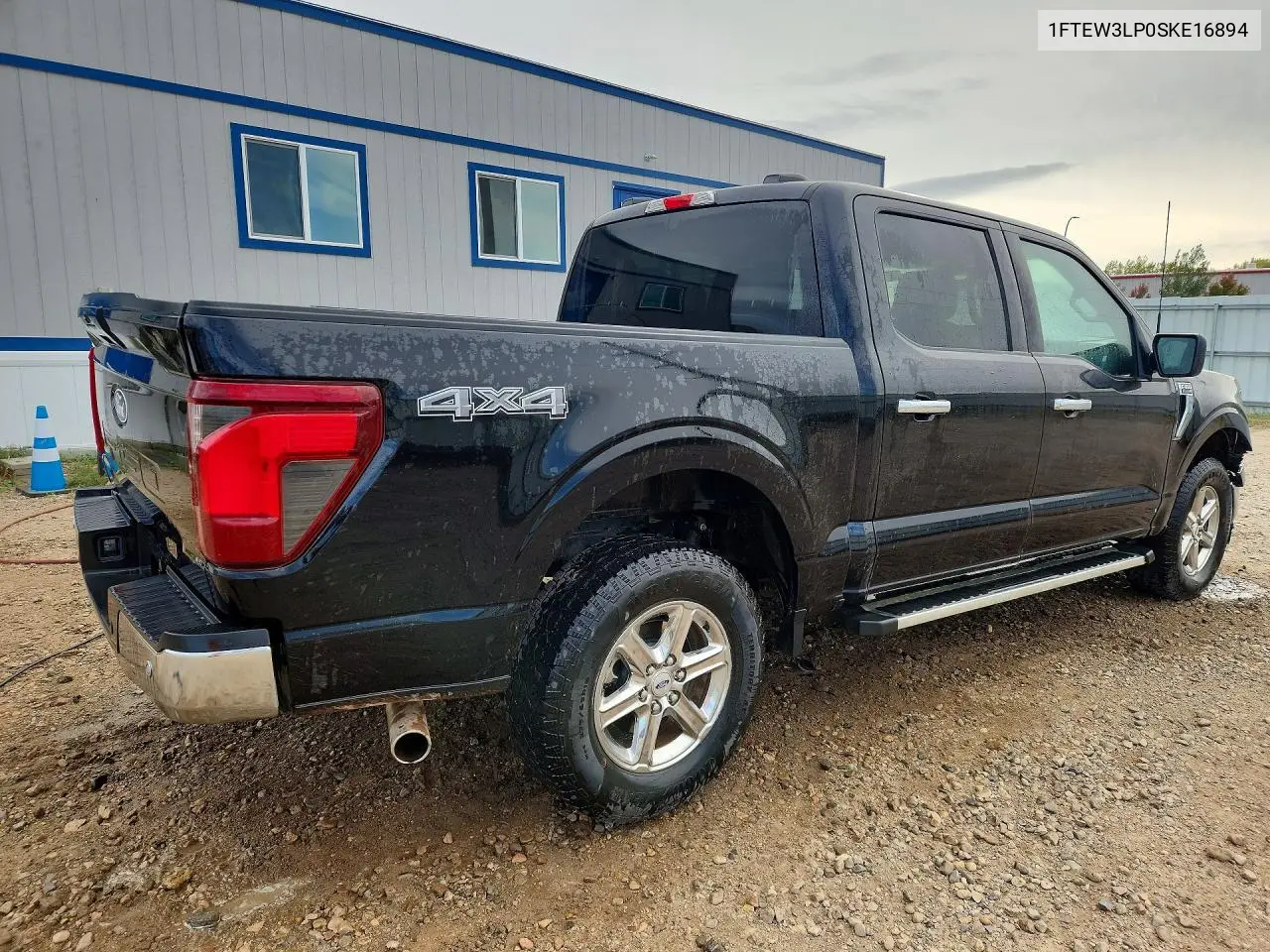 2025 FORD F-150 VIN 1FTEW3LP0SKE16894 — фото 3