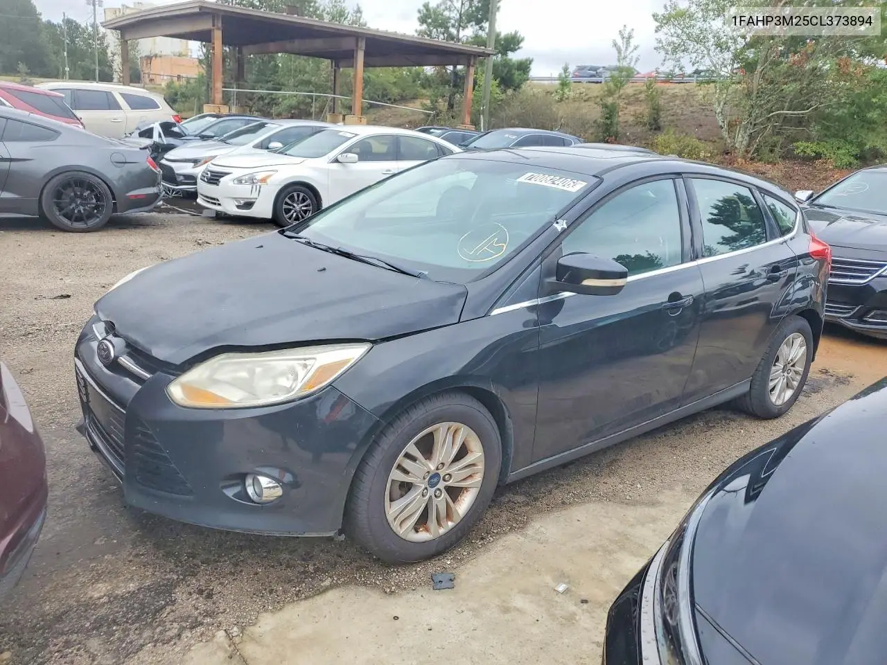 FORD FOCUS 2012, VIN 1FAHP3M25CL373894