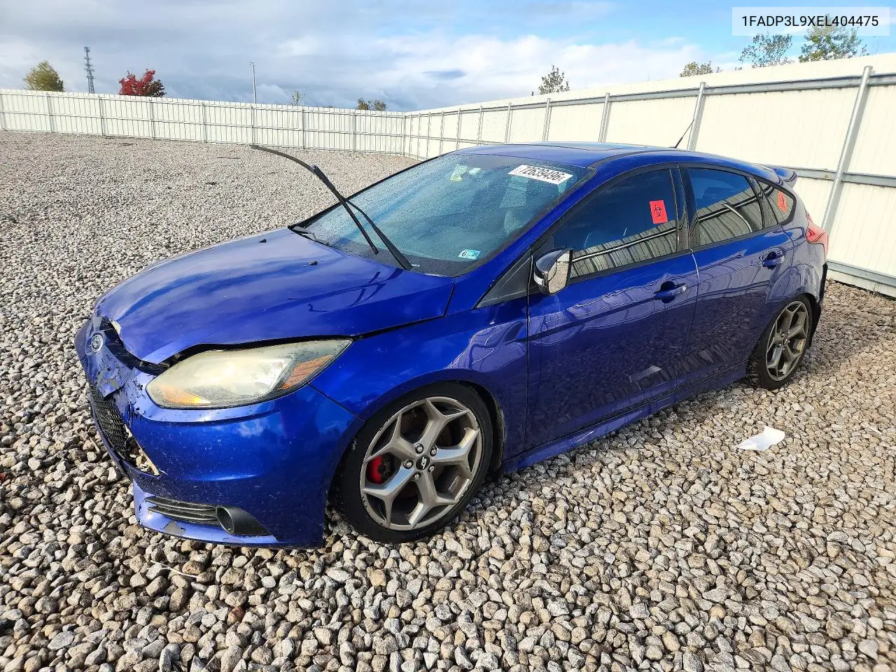 FORD FOCUS 2014, VIN 1FADP3L9XEL404475