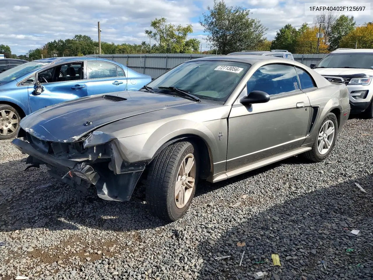 FORD MUSTANG 2002, VIN 1FAFP40402F125697