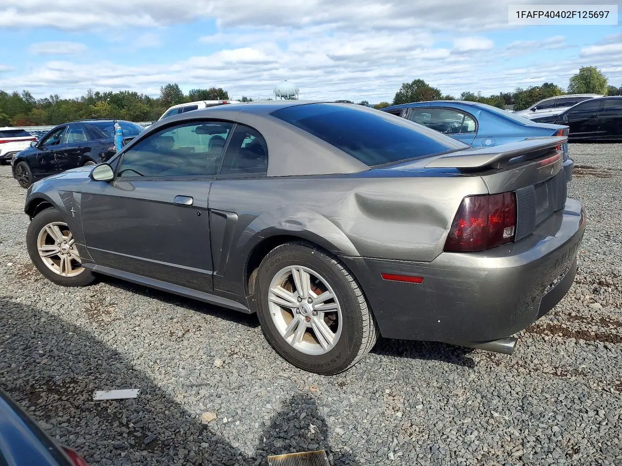 2002 FORD MUSTANG VIN 1FAFP40402F125697 — фото 2