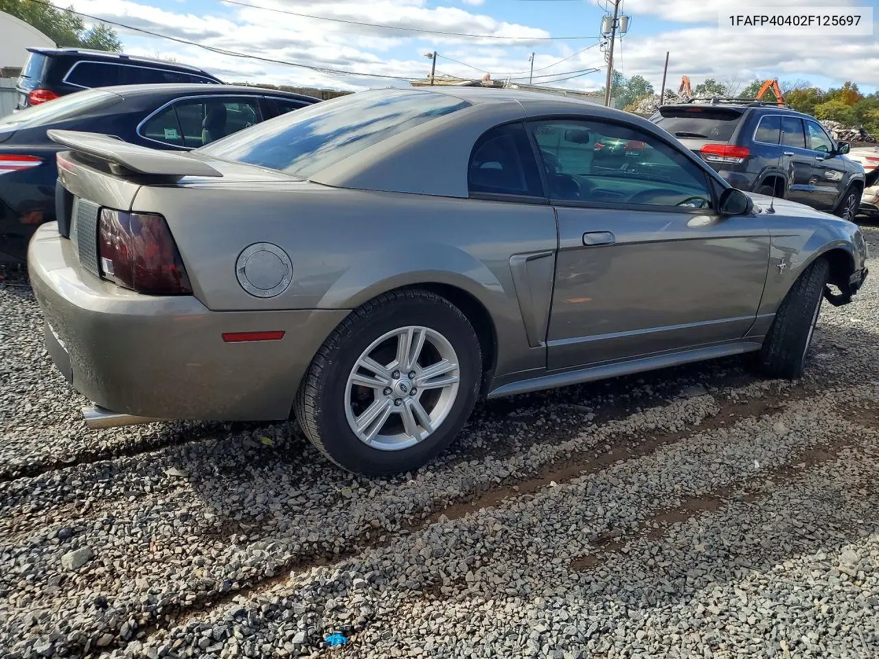 2002 FORD MUSTANG VIN 1FAFP40402F125697 — фото 3
