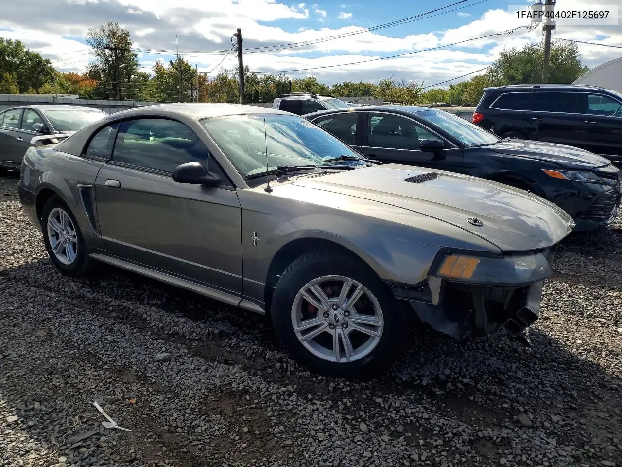2002 FORD MUSTANG VIN 1FAFP40402F125697 — фото 4