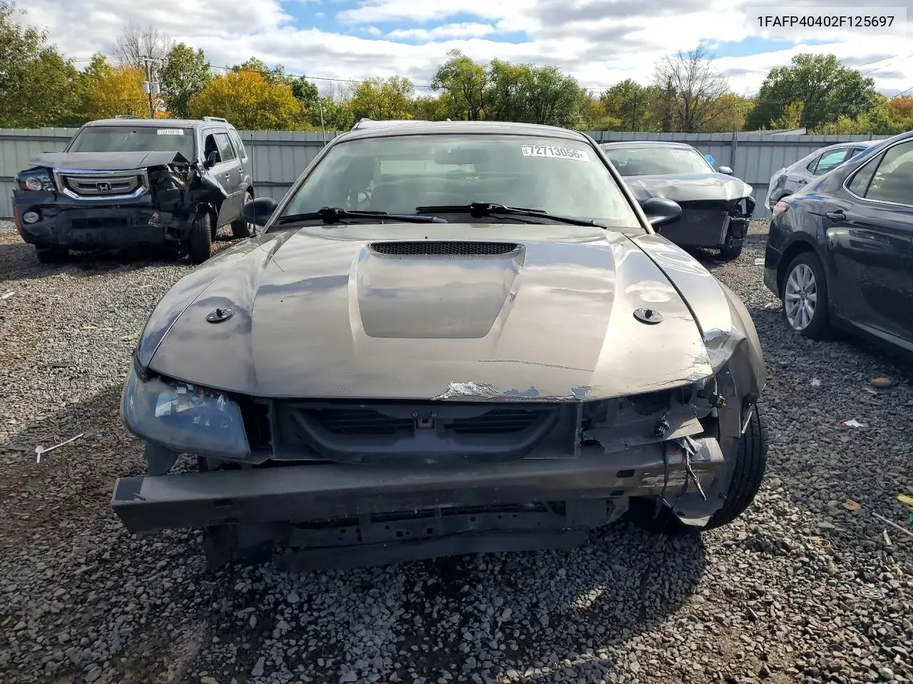 2002 FORD MUSTANG VIN 1FAFP40402F125697 — фото 5