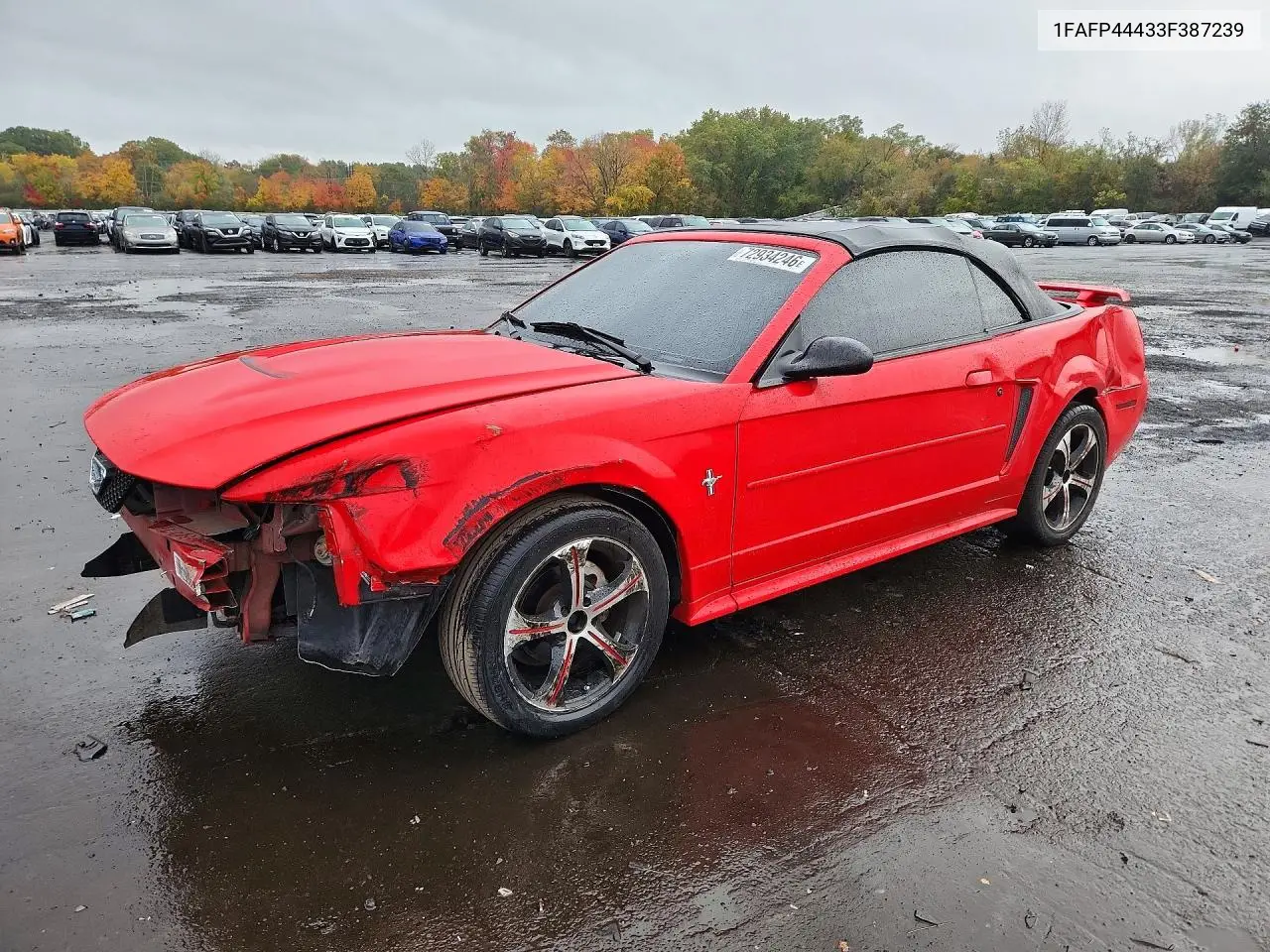FORD MUSTANG 2003, VIN 1FAFP44433F387239