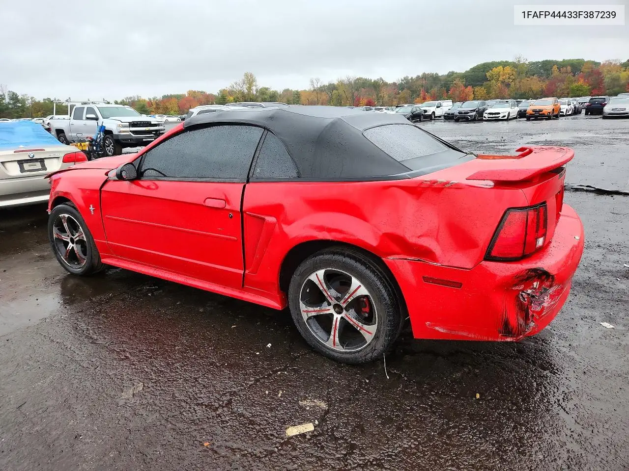 2003 FORD MUSTANG VIN 1FAFP44433F387239 — фото 2