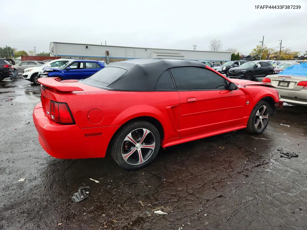 2003 FORD MUSTANG VIN 1FAFP44433F387239 — фото 3