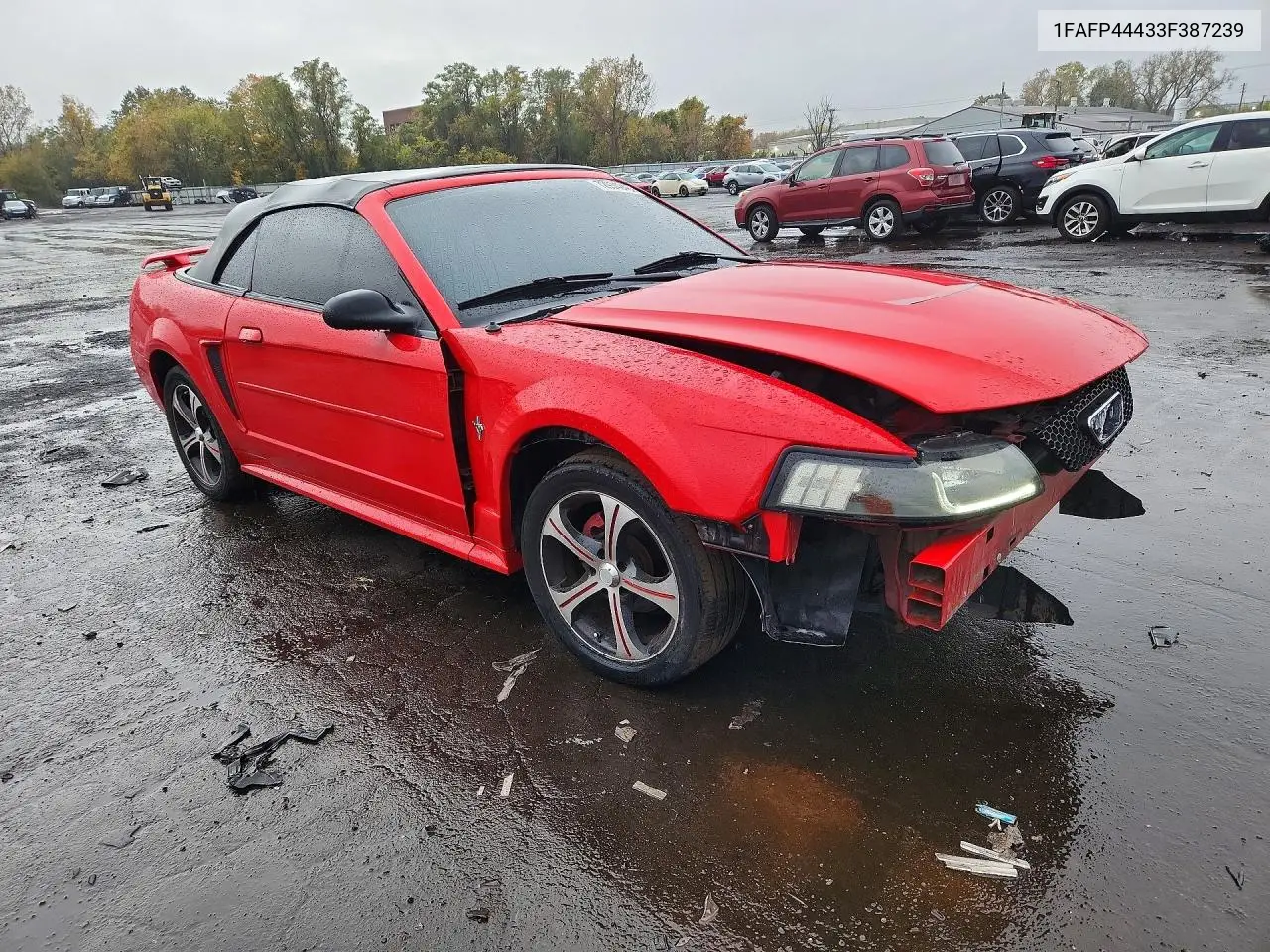 2003 FORD MUSTANG VIN 1FAFP44433F387239 — фото 4