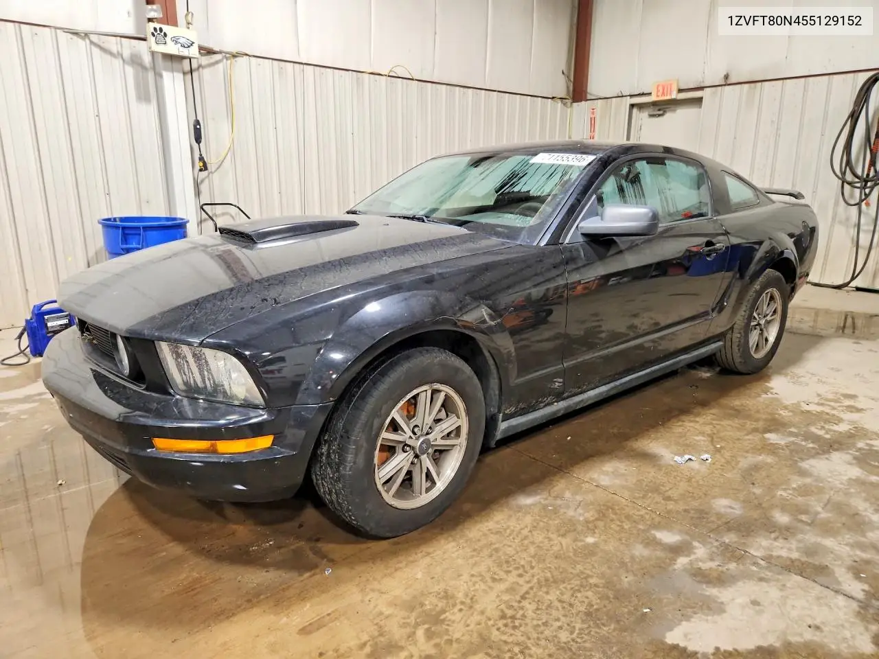 FORD MUSTANG 2005, VIN 1ZVFT80N455129152