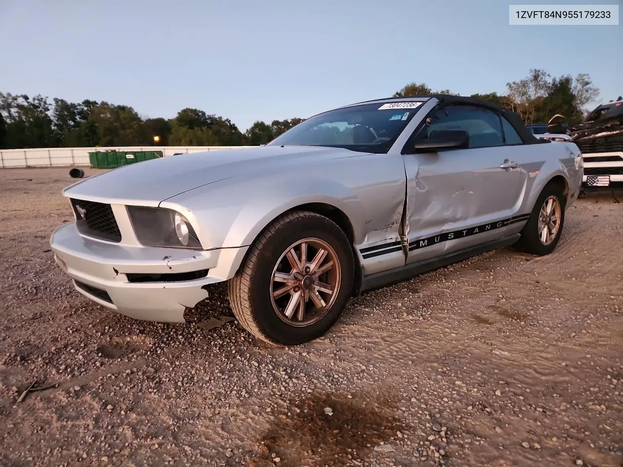 FORD MUSTANG 2005, VIN 1ZVFT84N955179233