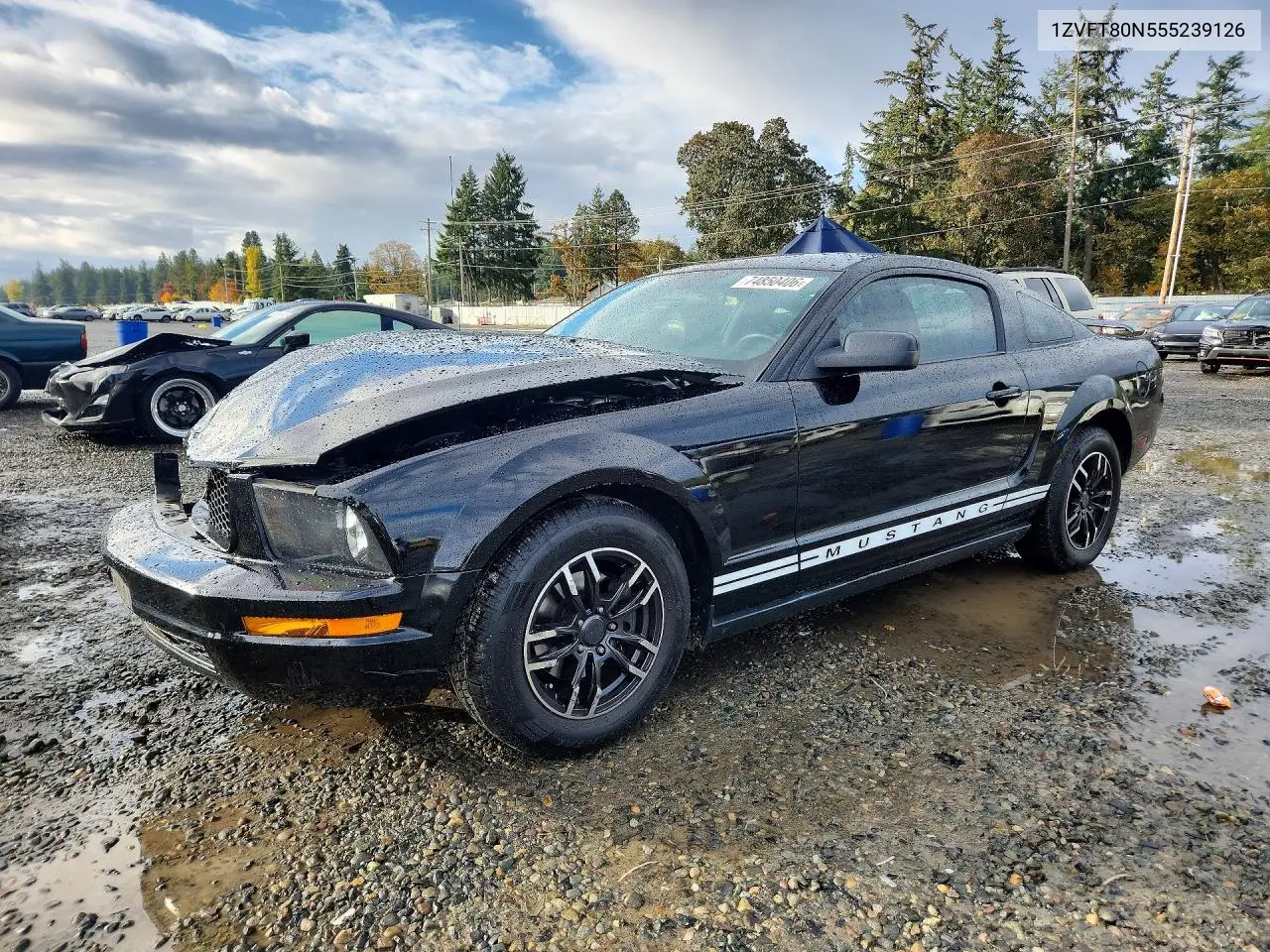 FORD MUSTANG 2005, VIN 1ZVFT80N555239126