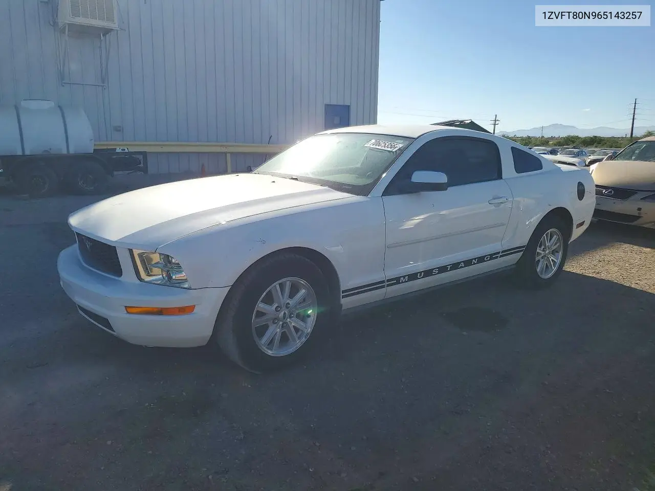 FORD MUSTANG 2006, VIN 1ZVFT80N965143257