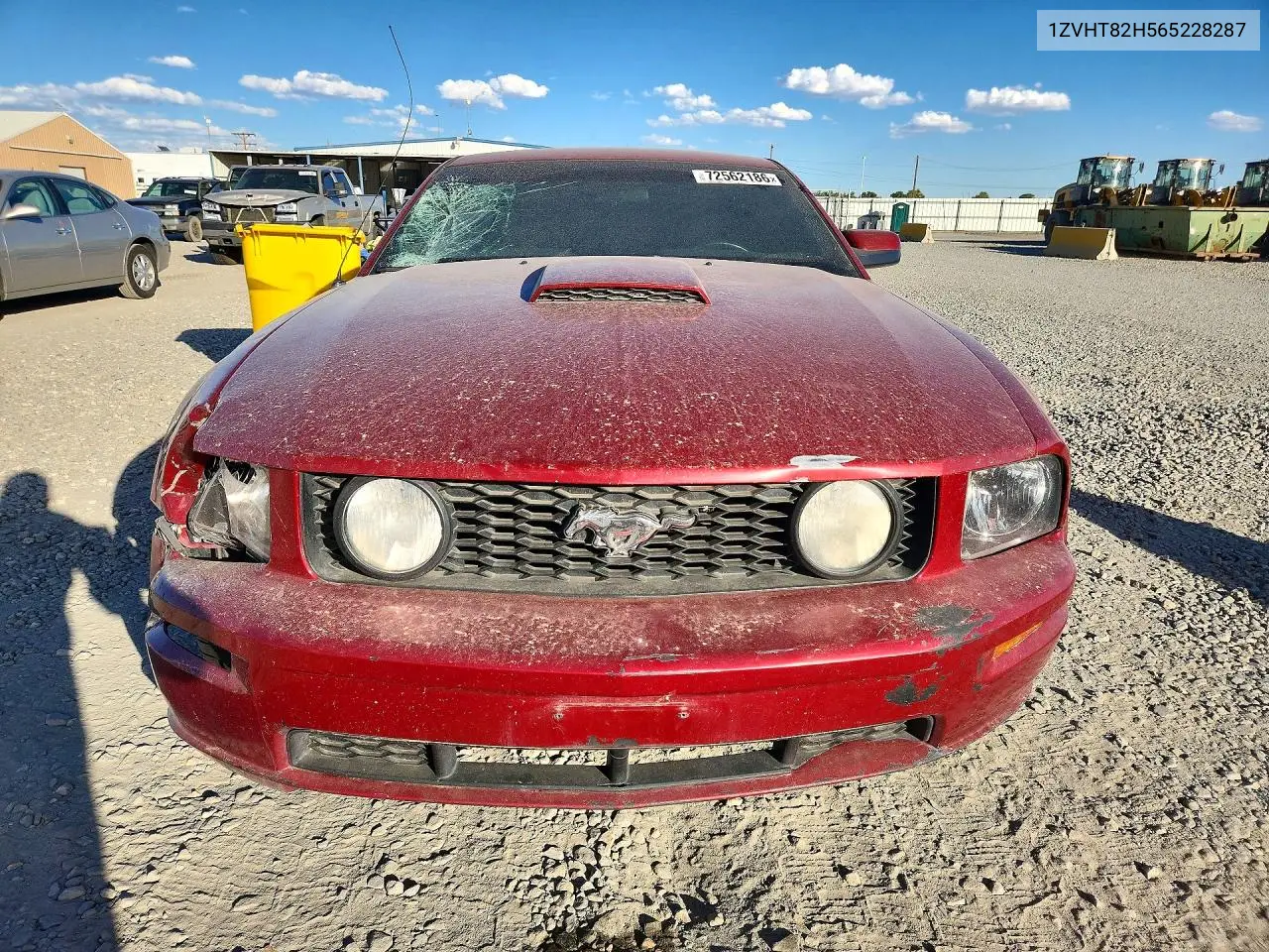 2006 FORD MUSTANG VIN 1ZVHT82H565228287 — фото 5
