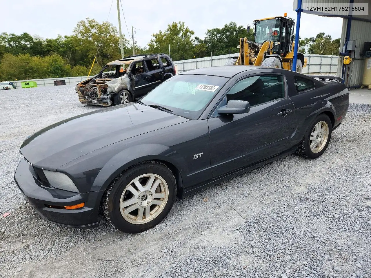 FORD MUSTANG 2007, VIN 1ZVHT82H175215604