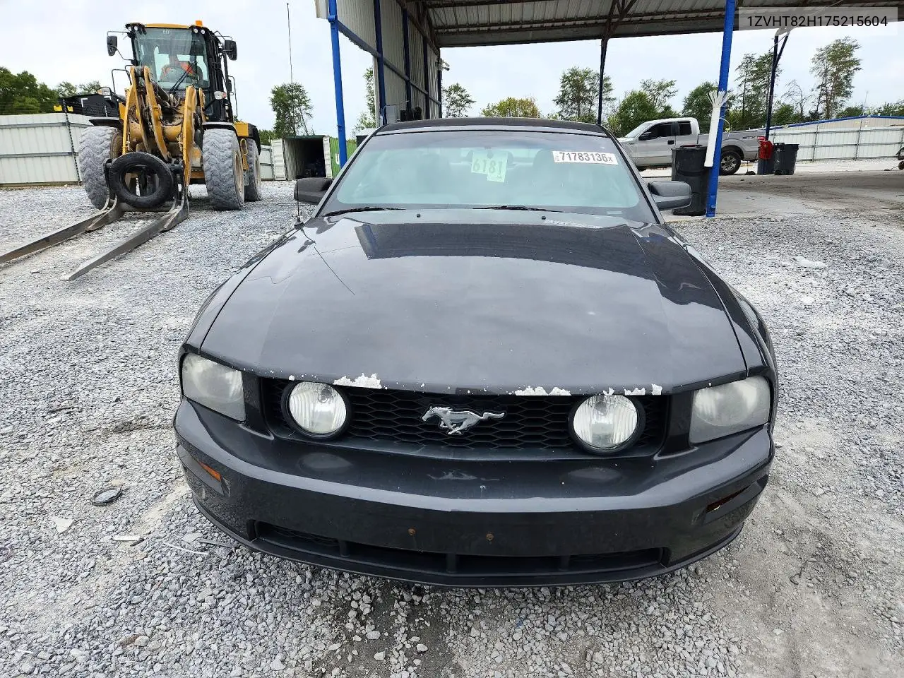 2007 FORD MUSTANG VIN 1ZVHT82H175215604 — фото 5