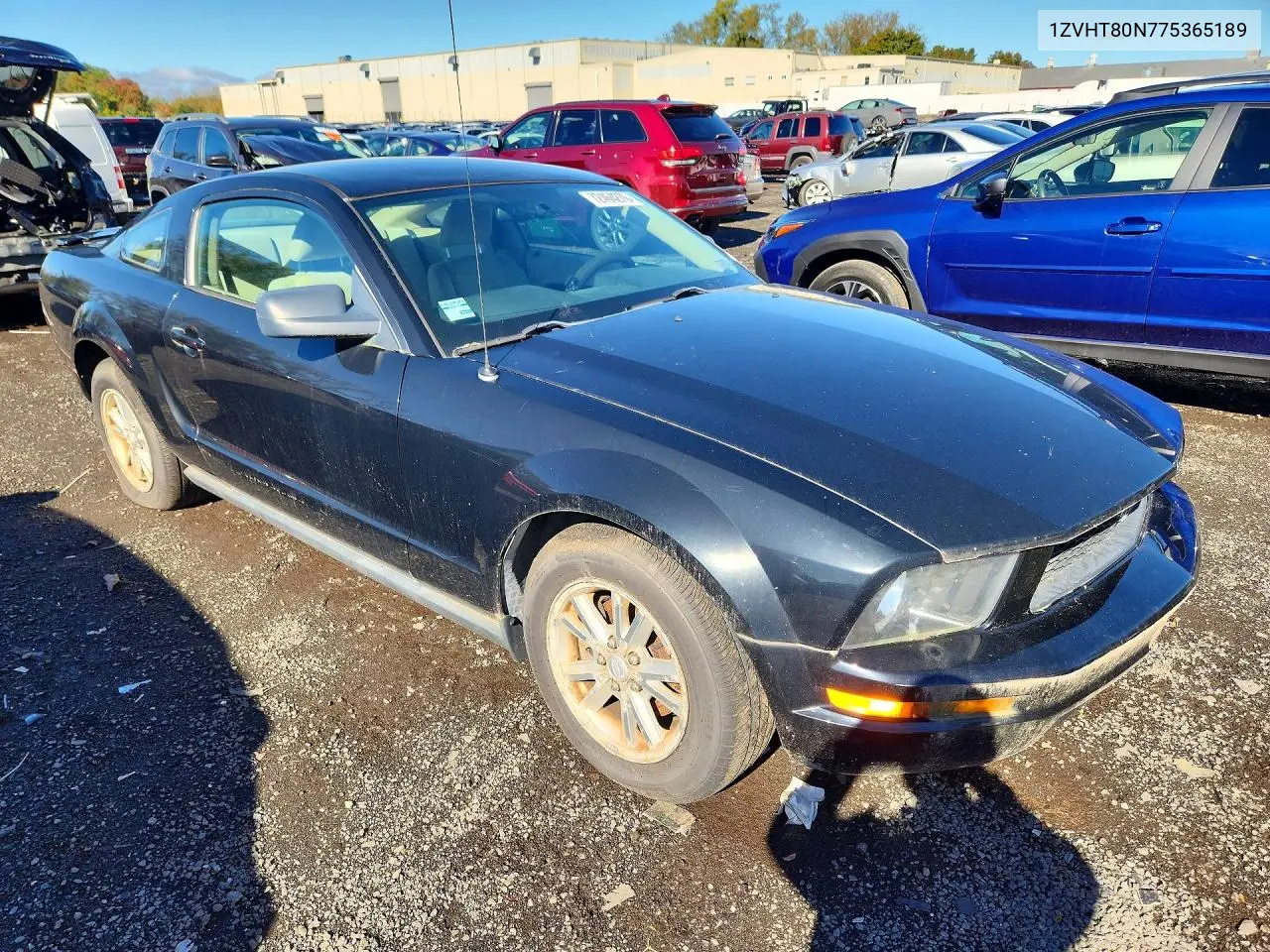 2007 FORD MUSTANG VIN 1ZVHT80N775365189 — фото 4