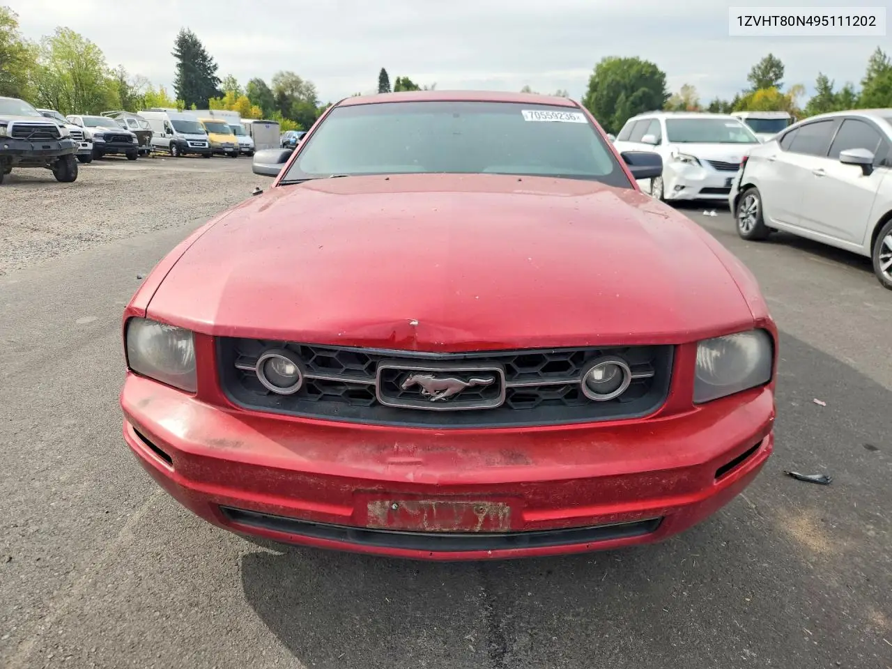 2009 FORD MUSTANG VIN 1ZVHT80N495111202 — фото 5